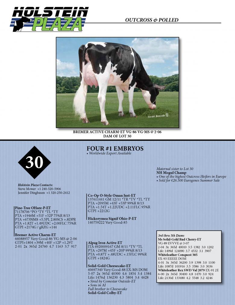 Datasheet for OHARE-P x Bremer Active Charm