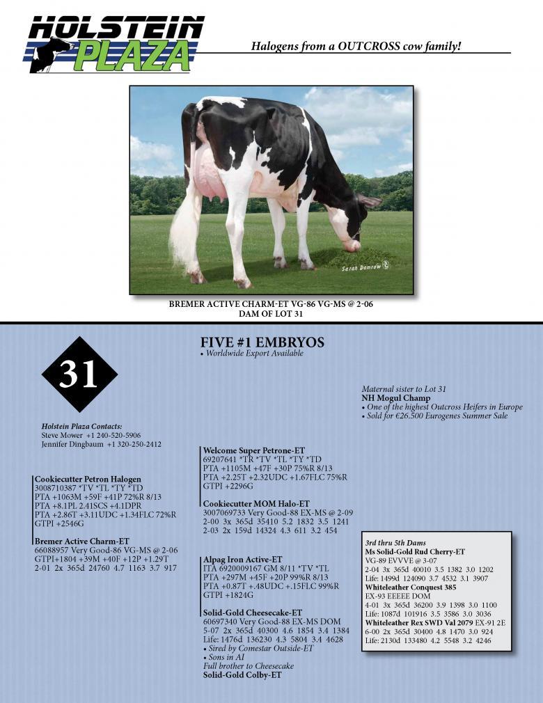 Datasheet for HALOGEN x Bremer Active Charm