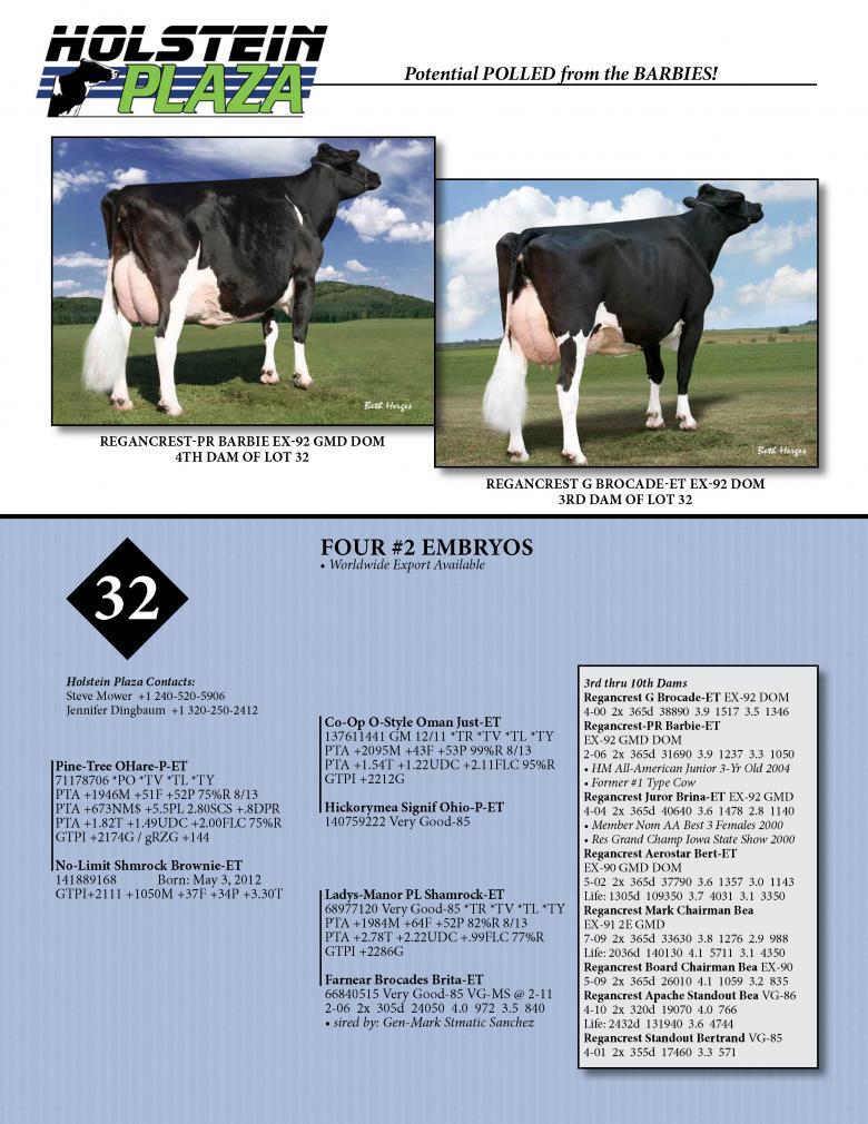 Datasheet for OHARE-P x No-Limit Shmrock Brownie