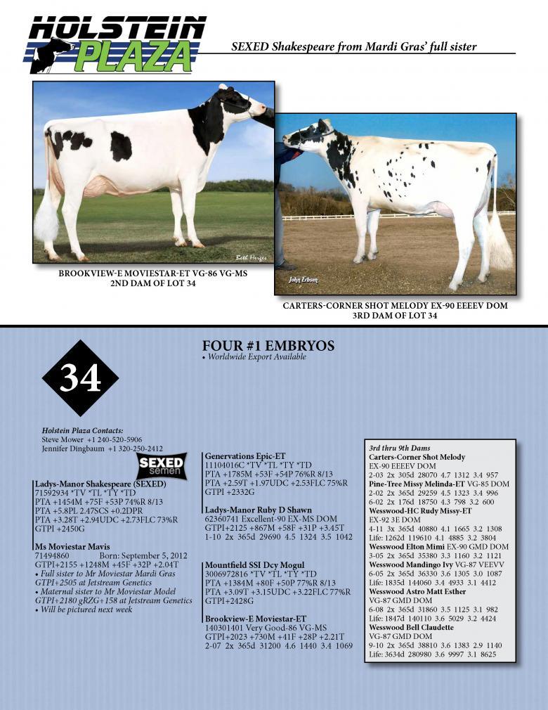 Datasheet for SEXED SHAKESPEARE x Ms Moviestar Mavis