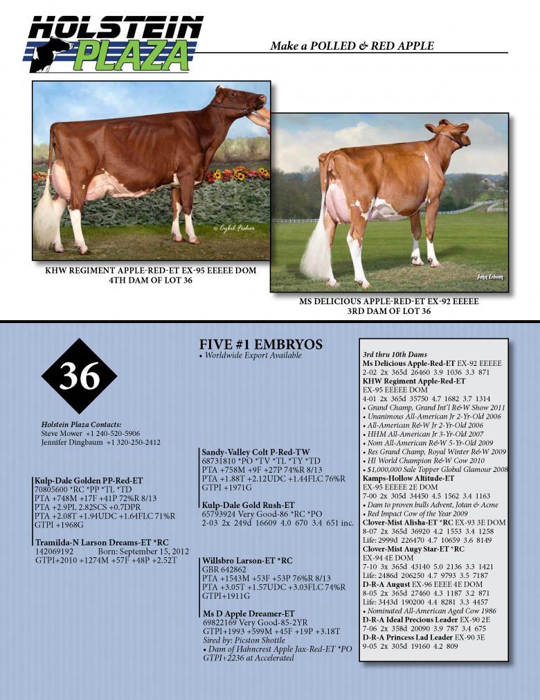 Datasheet for GOLDEN PP x Tramilda-N Larson Dreams *RC