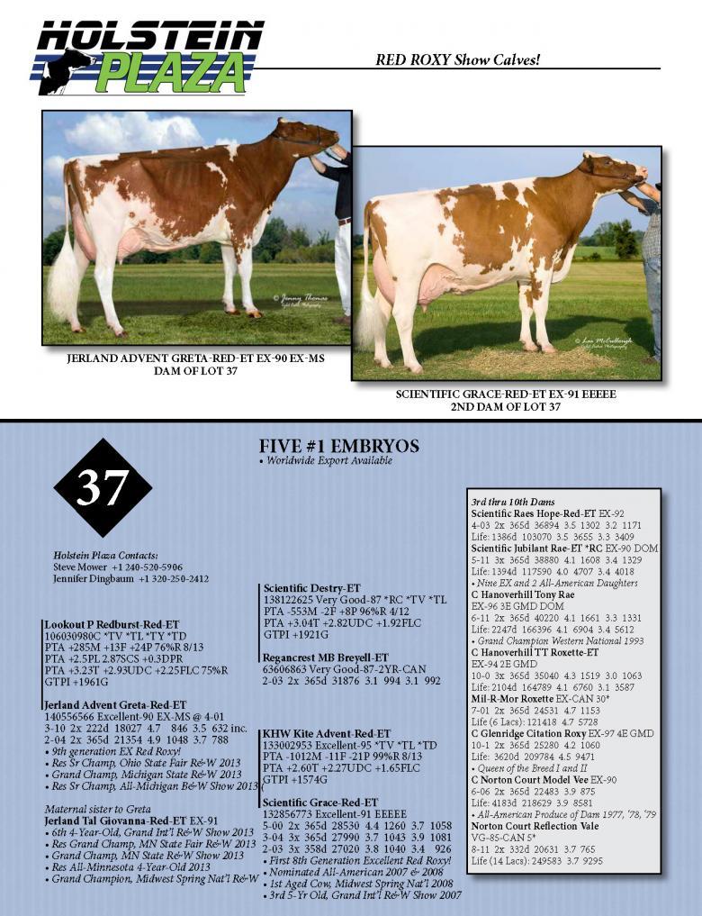 Datasheet for REDBURST x Jerland Advent Greta