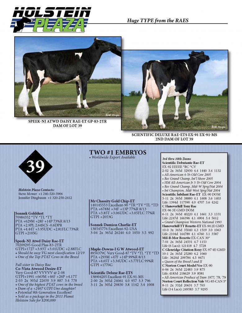 Datasheet for GOLDDUST x Speek-NJ Atwd Daisy Rae