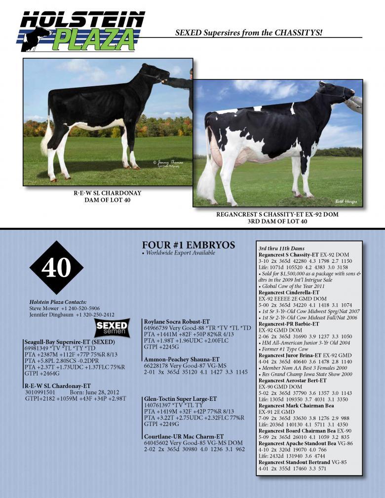 Datasheet for SEXED SUPERSIRE x R-E-W SL Chardonay