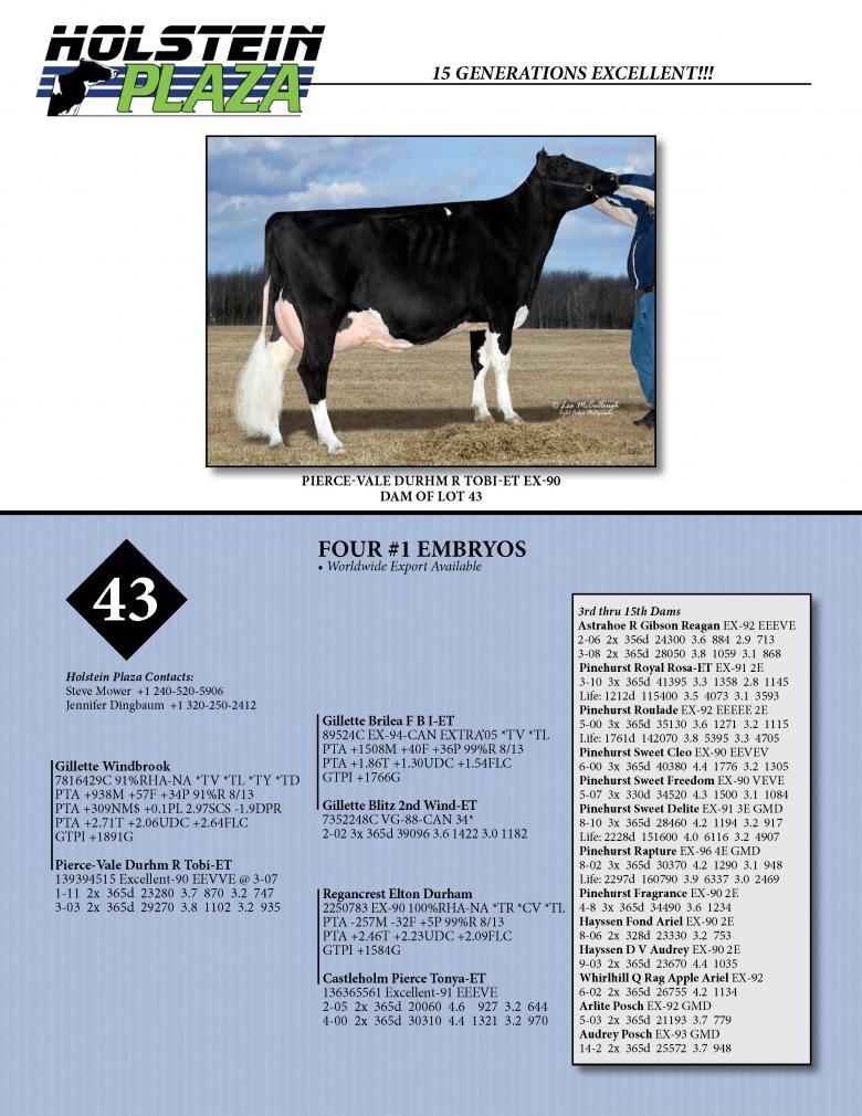 Datasheet for WINDBROOK x Pierce-Vale Durhm R Tobi