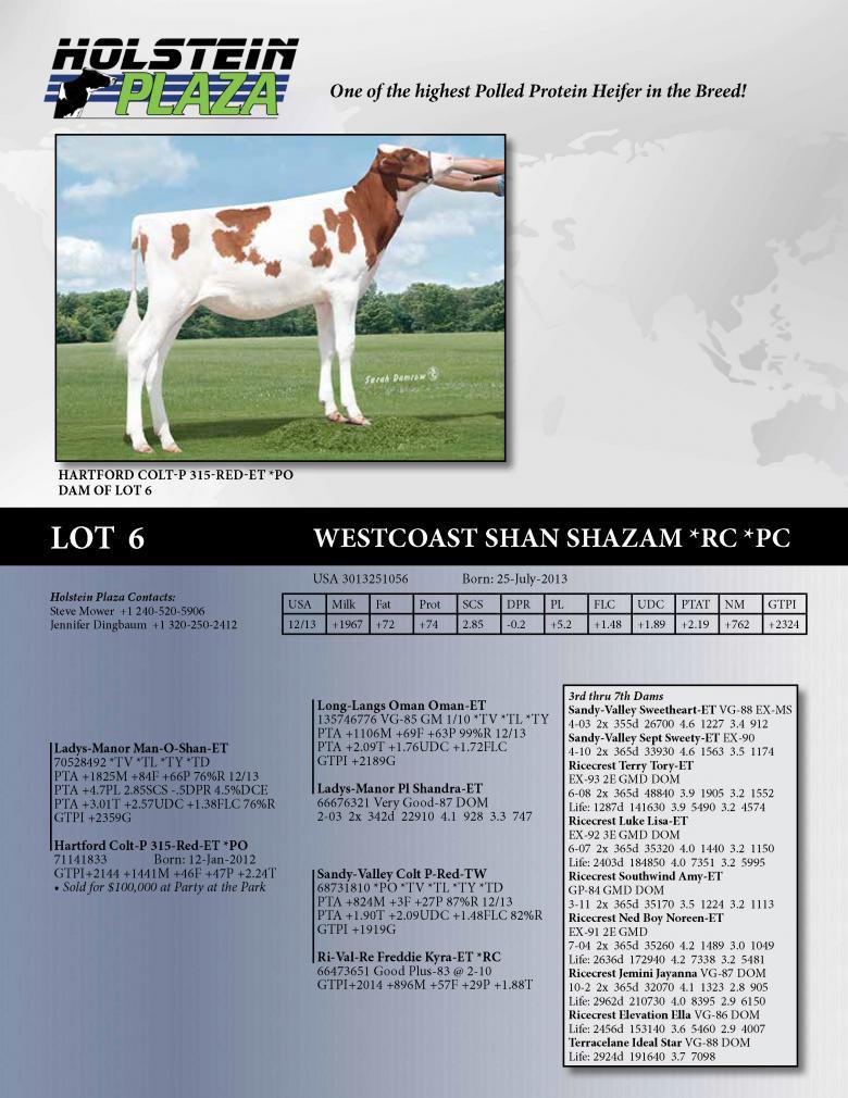 Datasheet for Westcoast Shan Shazam *RC *PC