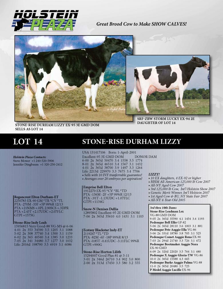 Datasheet for Stone-Rise Durham Lizzy EX-95 3E GMD DOM