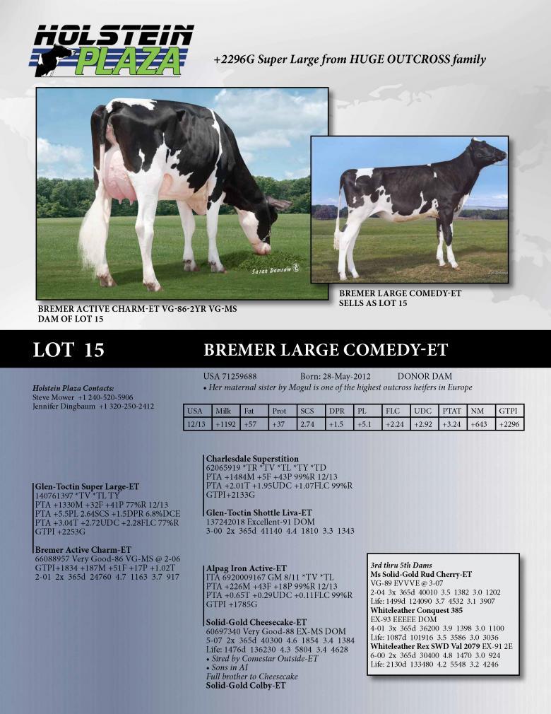 Datasheet for Bremer Large Comedy