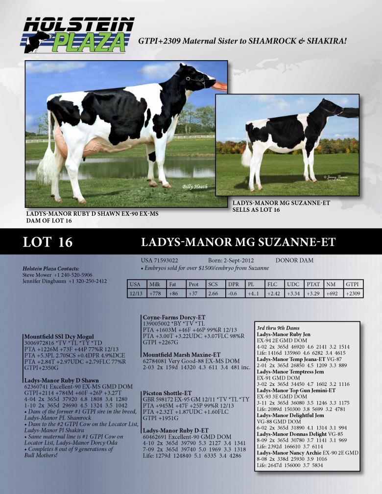 Datasheet for Ladys-Manor MG Suzanne