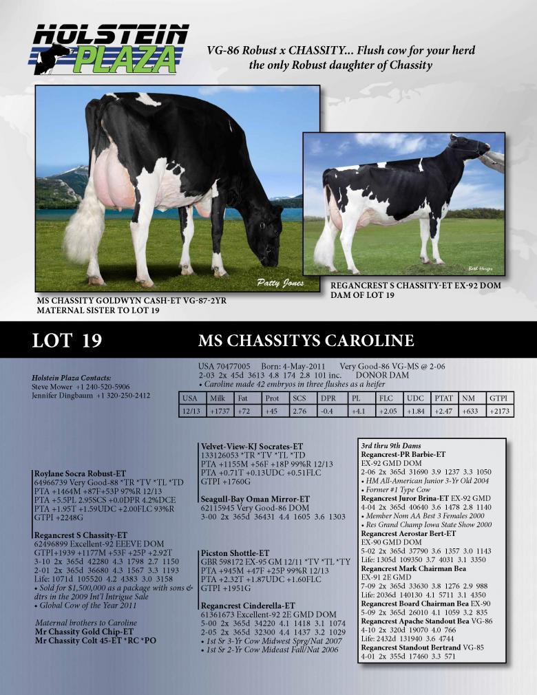 Datasheet for Ms Chassitys Caroline VG-86-2YR