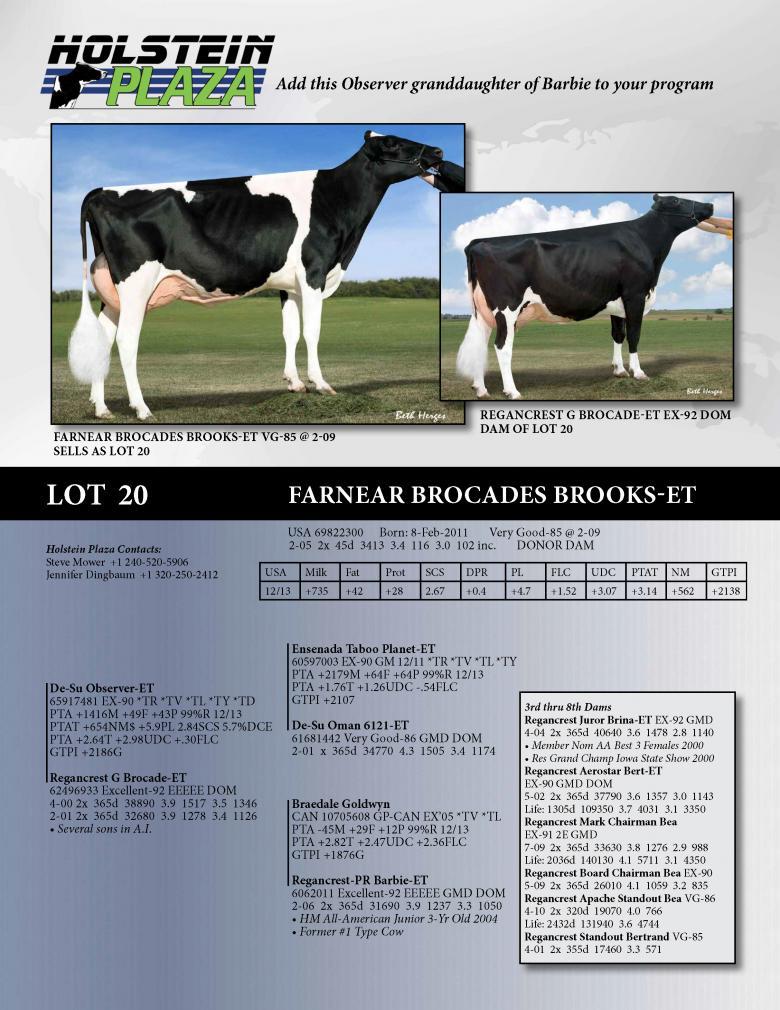 Datasheet for Farnear Brocades Brooks VG-85-2YR