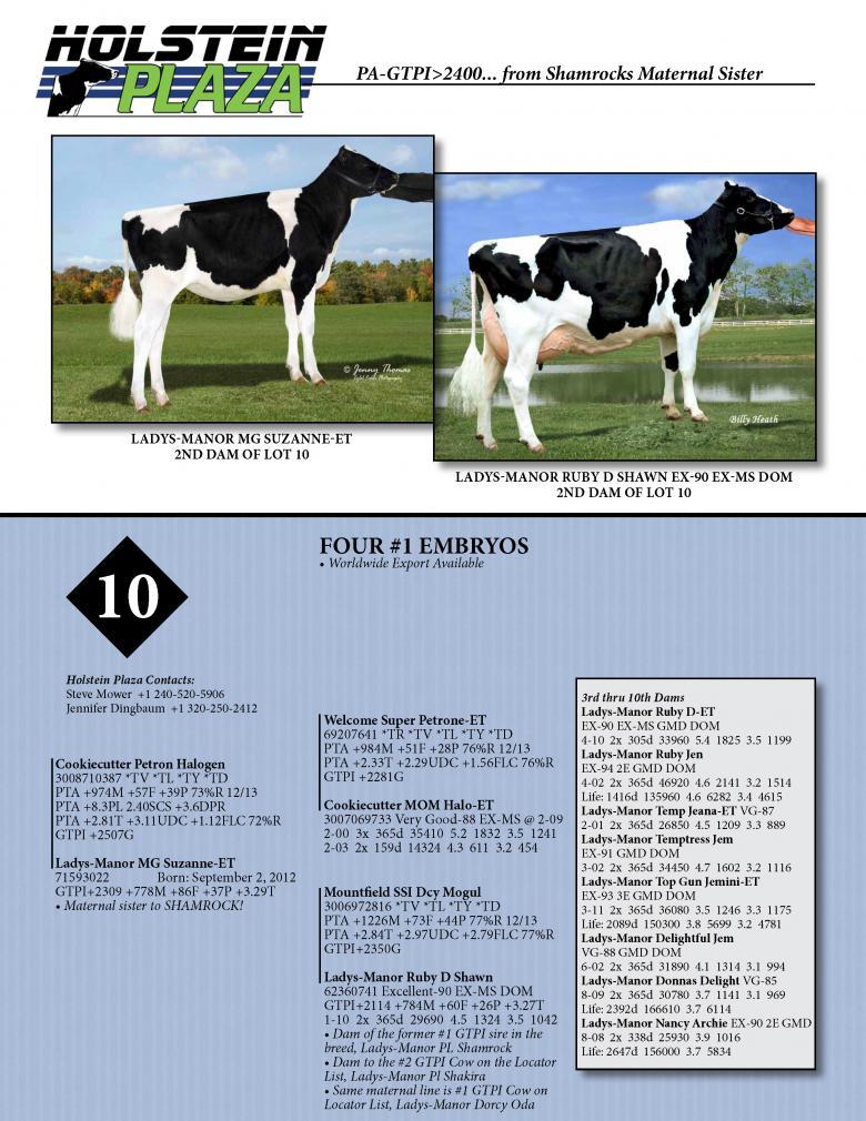 Datasheet for HALOGEN x Ladys-Manor MG Suzanne