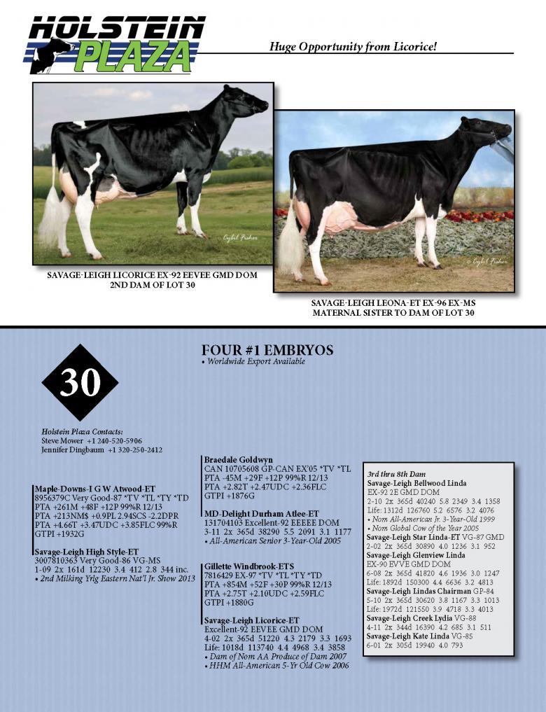 Datasheet for ATWOOD x Savage-Leigh High Style