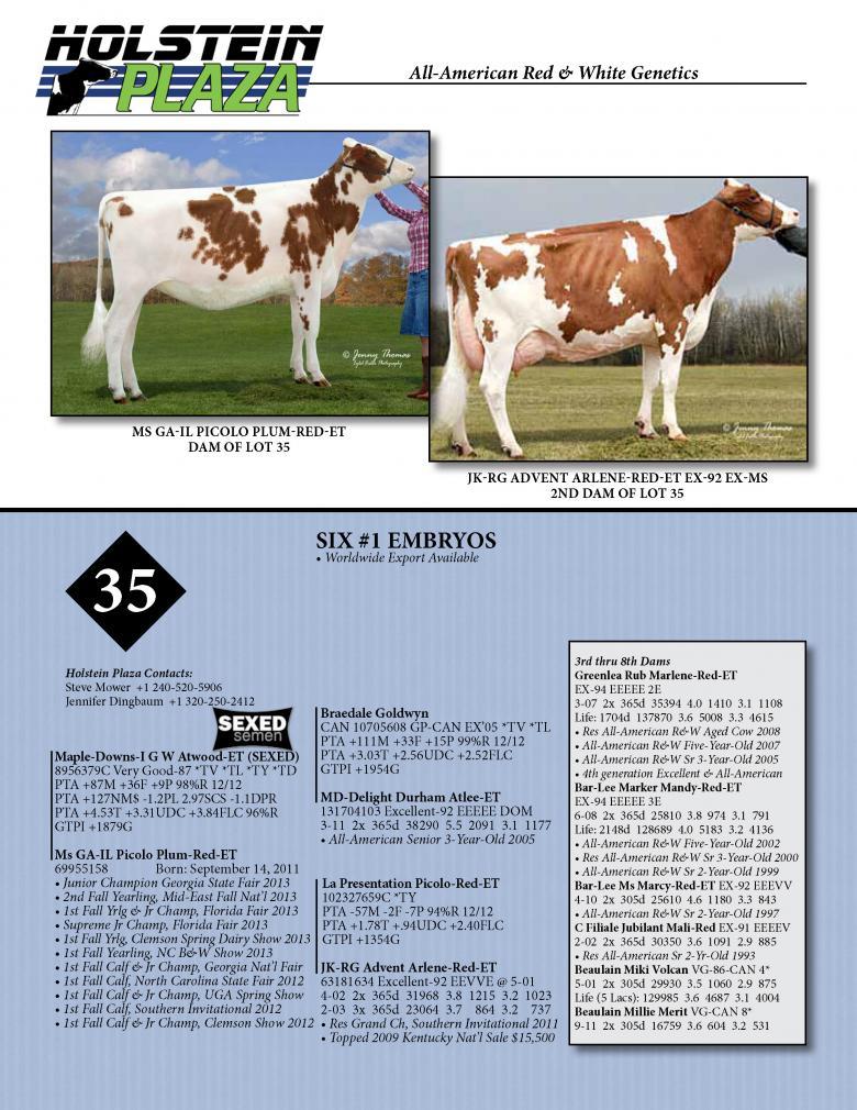 Datasheet for SEXED ATWOOD x Ms GA-IL Picolo Plum-Red