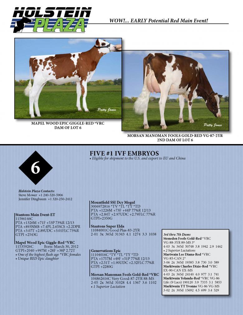 Datasheet for IVF MAIN EVENT x Mapel Wood Epic Giggle-Red VRC