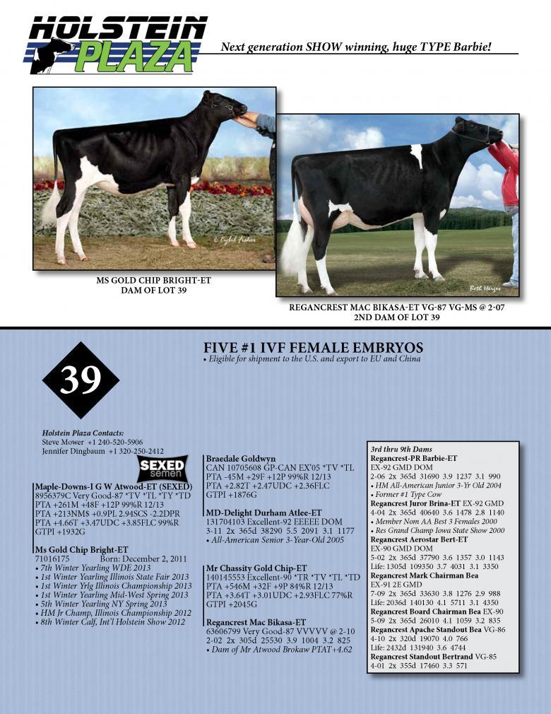 Datasheet for IVF FEMALE SEXED ATWOOD x Ms Gold Chip Bright
