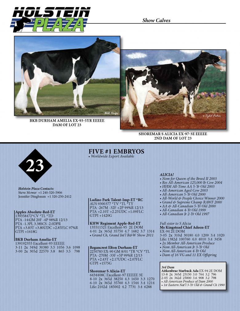 Datasheet for ABSOLUTE-RED x BKB Durham Amelia