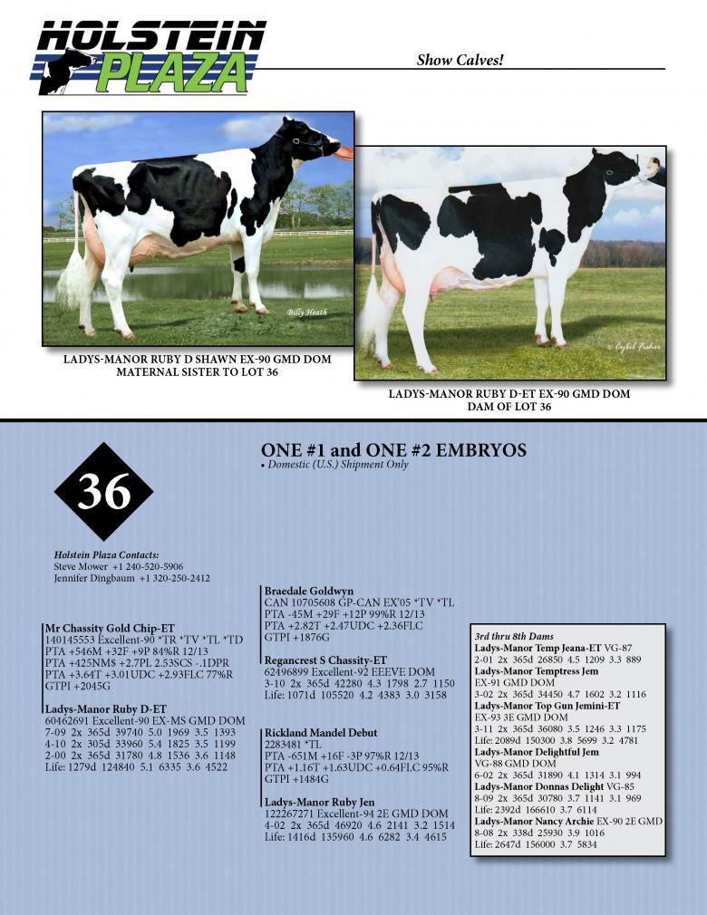 Datasheet for GOLD CHIP x Ladys Manor Ruby D