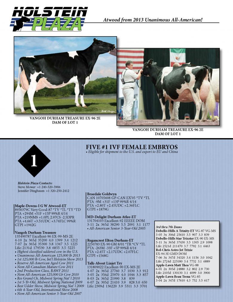 Datasheet for IVF FEMALE ATWOOD x Vangoh Durham Treasure