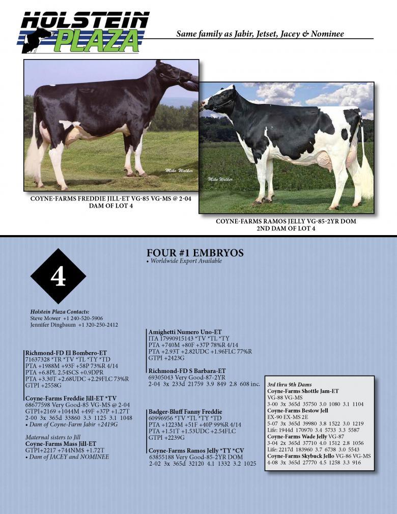 Datasheet for BOMBERO x Coyne-Farms Freddie Jill