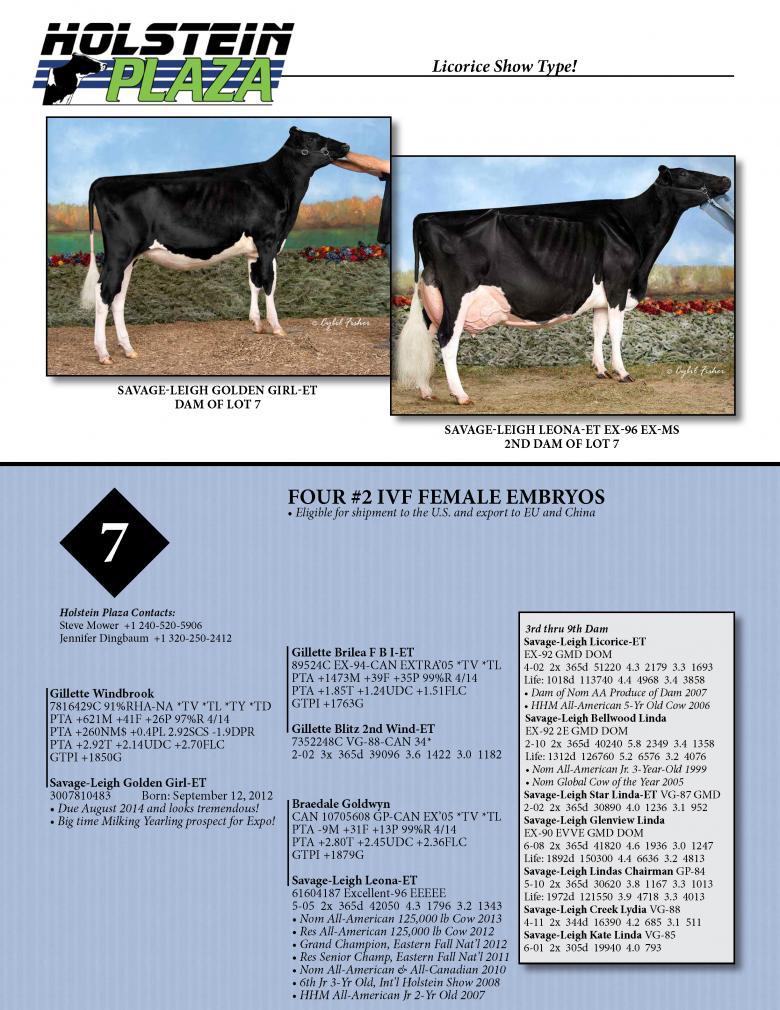 Datasheet for IVF FEMALE WINDBROOK x Savage-Leigh Golden Girl