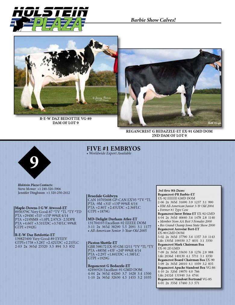 Datasheet for ATWOOD x R-E-W Daz Betdottie