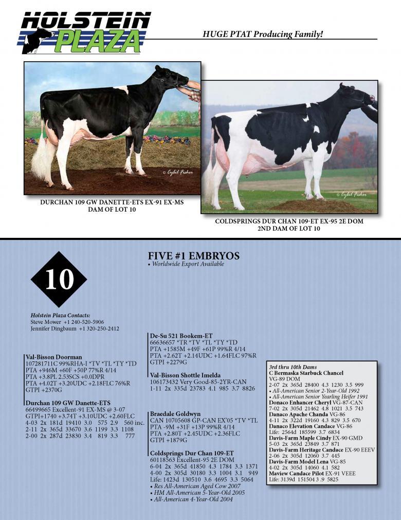 Datasheet for DOORMAN x Durchan 109 GW Danette