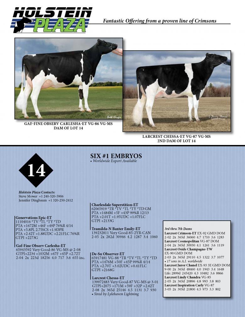 Datasheet for EPIC x Gaf-Fine Observer Carlesha