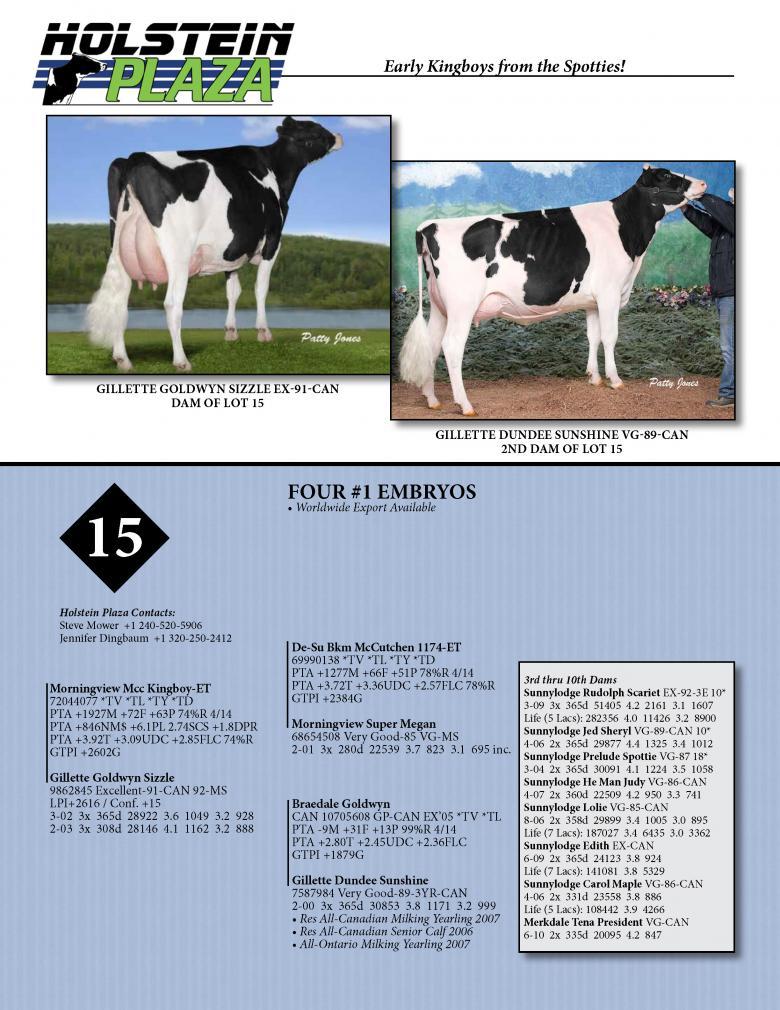 Datasheet for KINGBOY x Gillette Goldwyn Sizzle