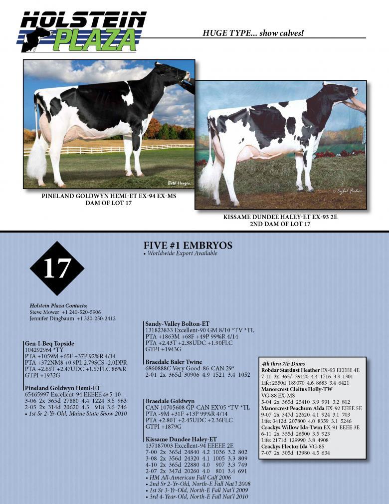 Datasheet for TOPSIDE x Pineland Goldwyn Hemi