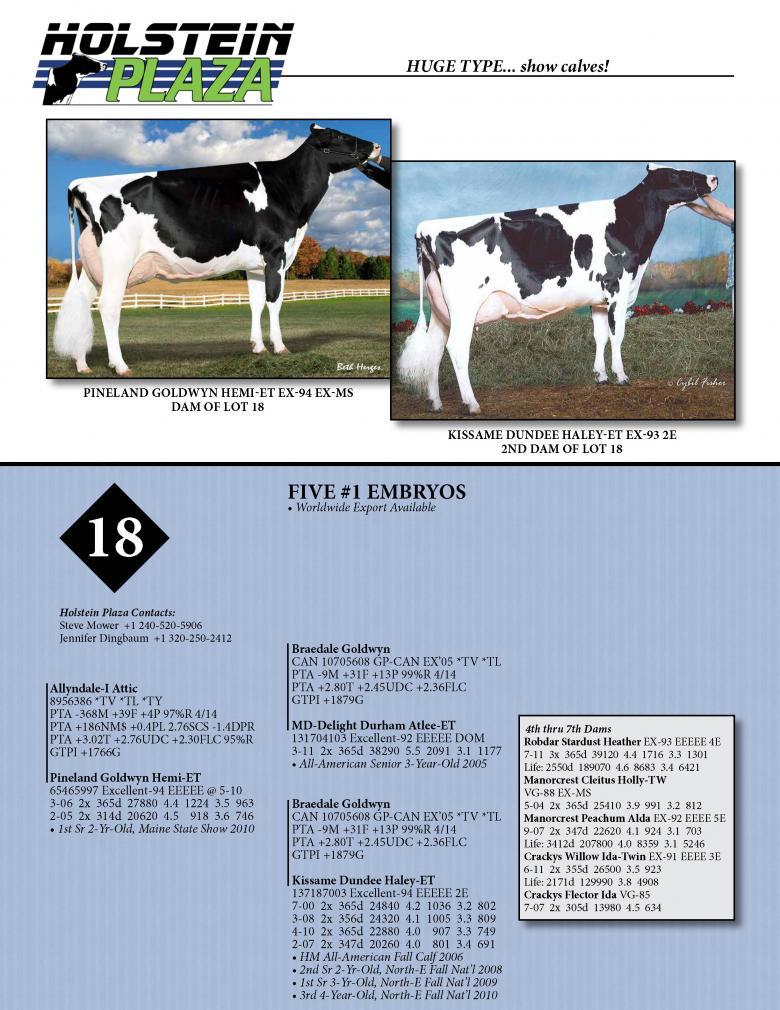 Datasheet for ATTIC x Pineland Goldwyn Hemi