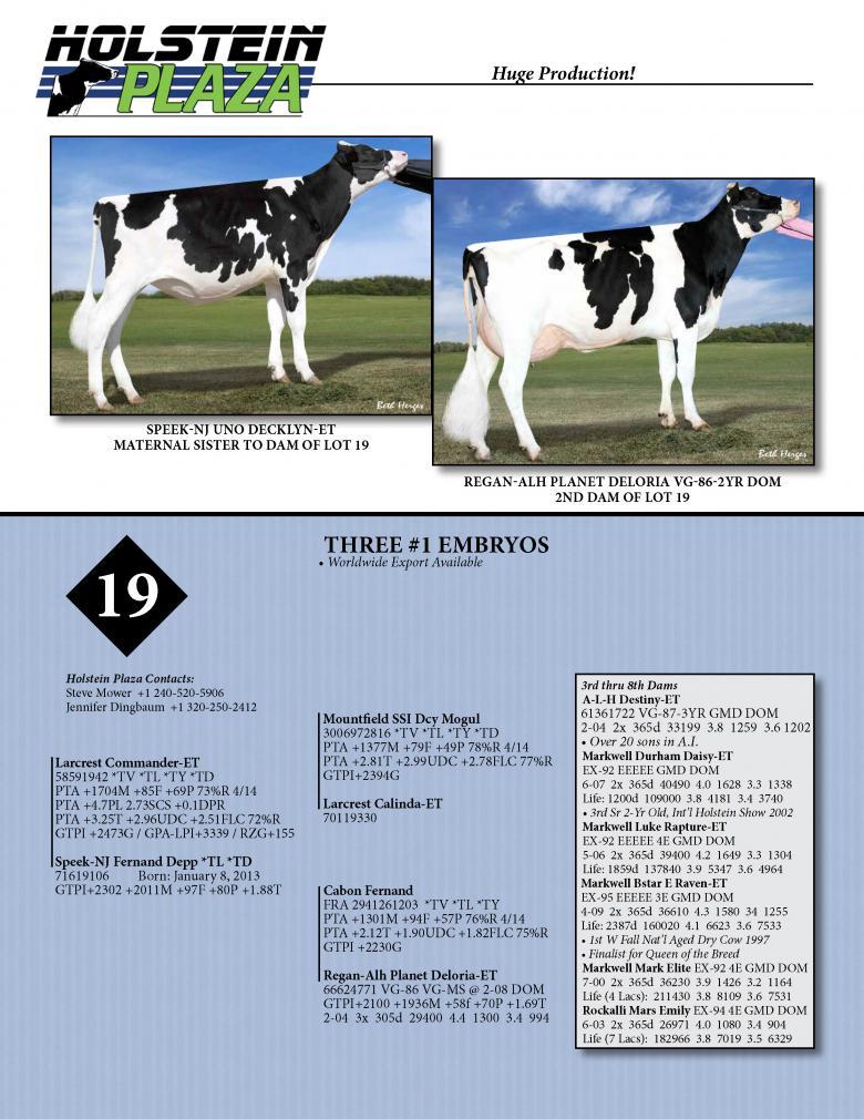 Datasheet for COMMANDER x Speek-NJ Fernand Depp
