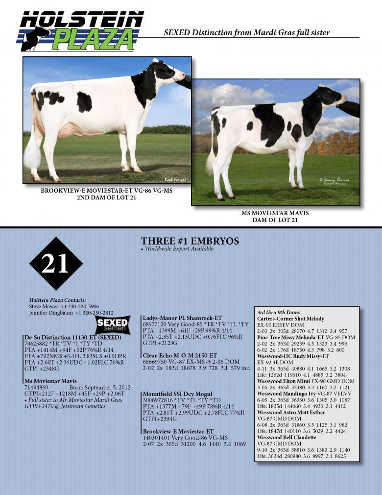 Datasheet for SEXED DISTINCTION x Ms Moviestar Mavis