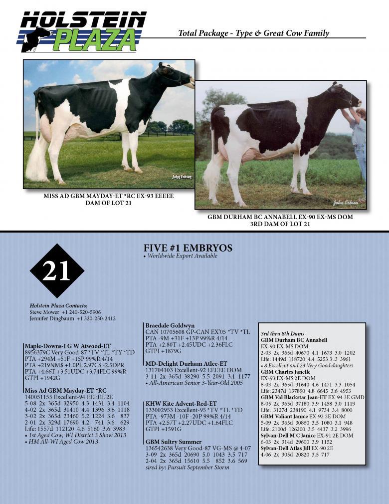 Datasheet for ATWOOD x Miss Ad GBM Mayday *RC