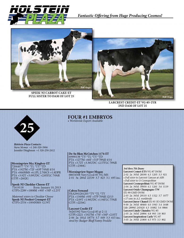 Datasheet for KINGBOY x Speek-NJ Cheddar Cheese