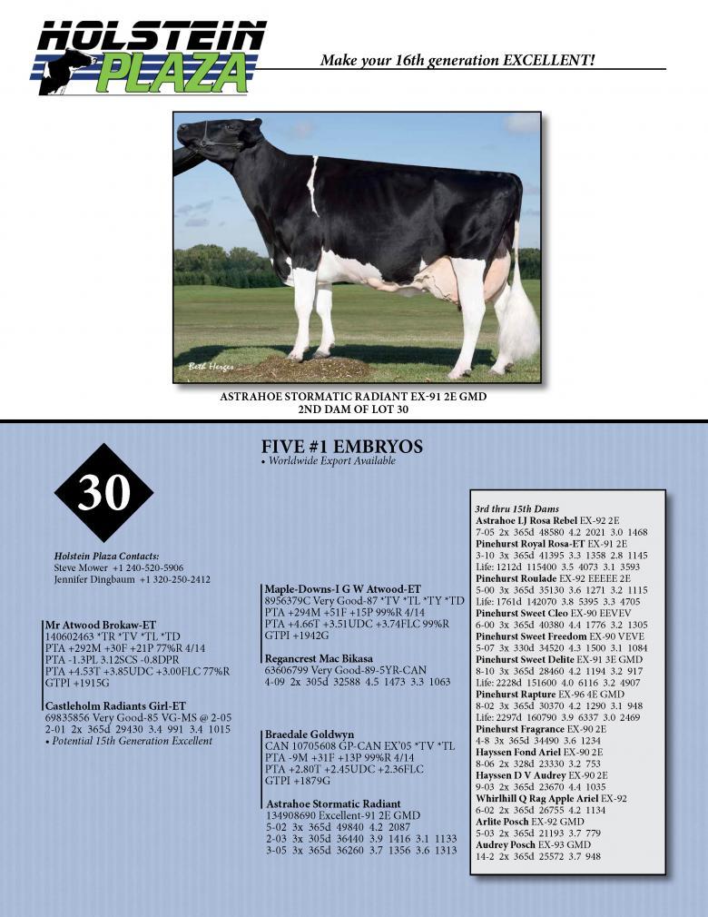 Datasheet for BROKAW x Castleholm Radiants Girl