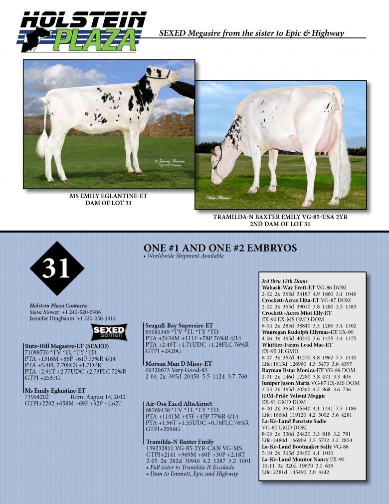 Datasheet for SEXED MEGASIRE x Ms Emily Eglantine