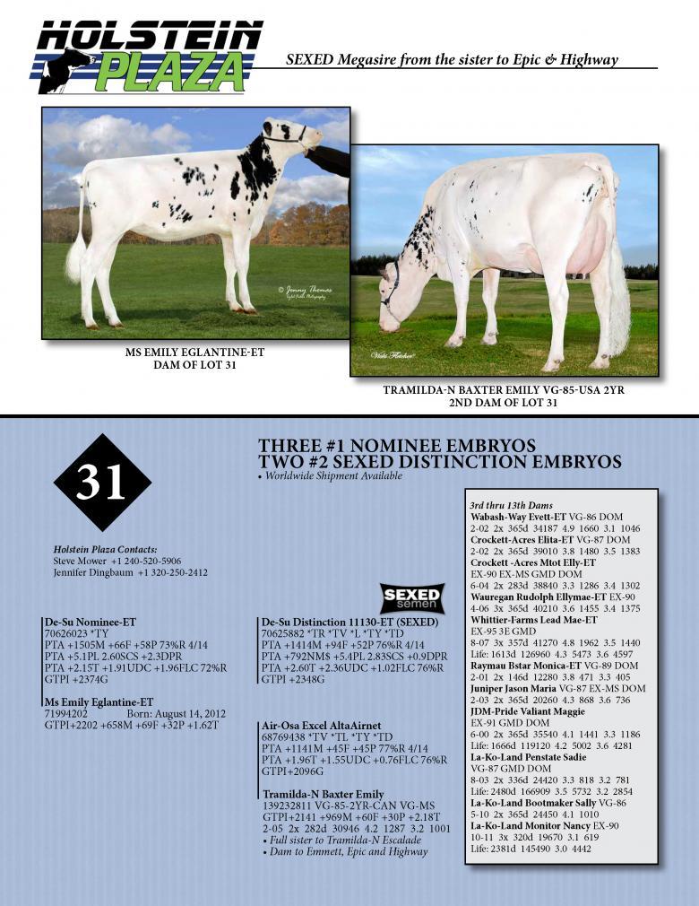 Datasheet for NOMINEE / SEXED DISTINCTION x Ms Emily Eglantine