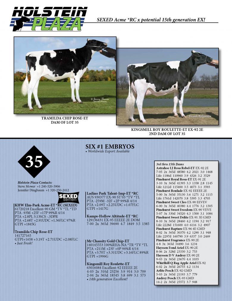 Datasheet for SEXED ACME *RC x Tramilda Chip Rose