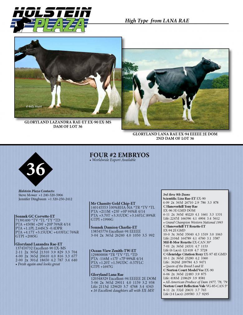 Datasheet for CORVETTE x Gloryland Lazandra Rae