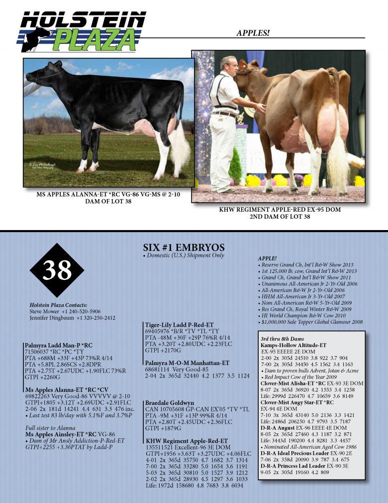 Datasheet for LADD MAN-P *RC x Ms Apples Alanna *RC