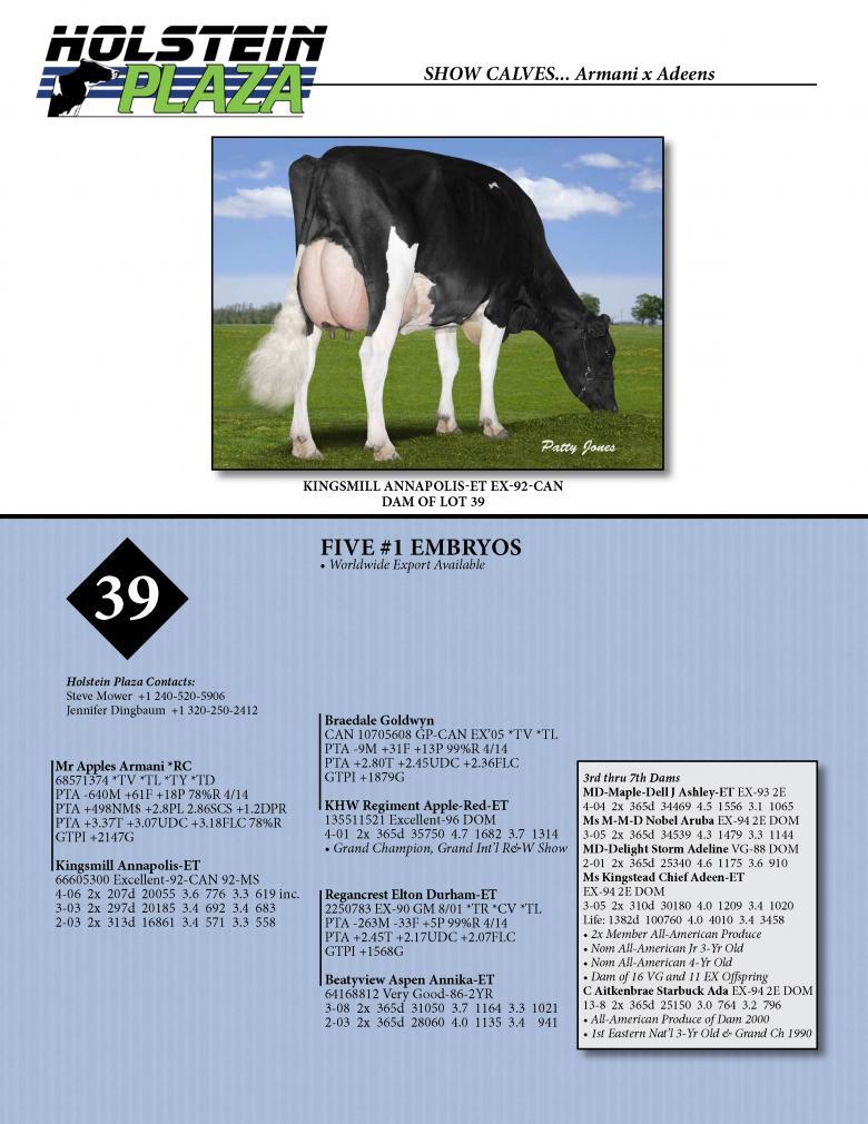 Datasheet for ARMANI *RC x Kingmill Annapolis