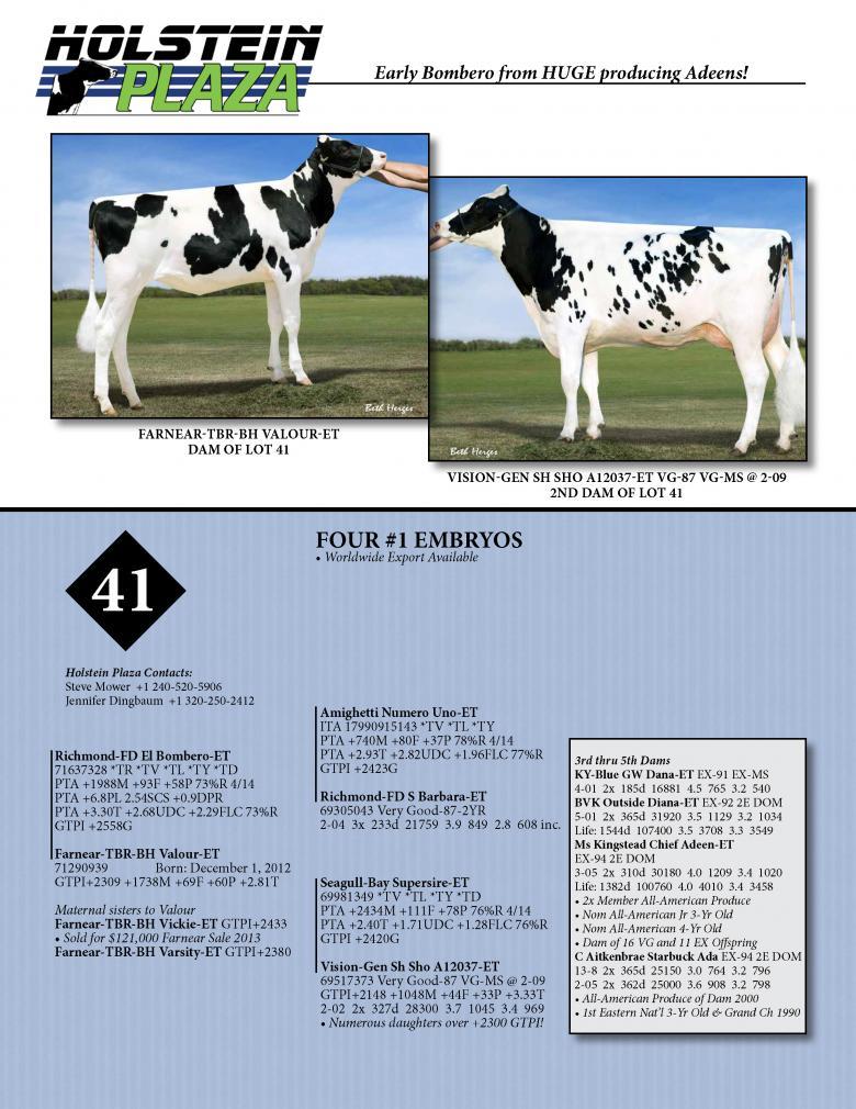 Datasheet for BOMBERO x Farnear-TBR-BH Valour