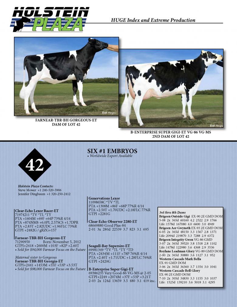 Datasheet for RACER x Farnear-TBR-BH Gorgeous