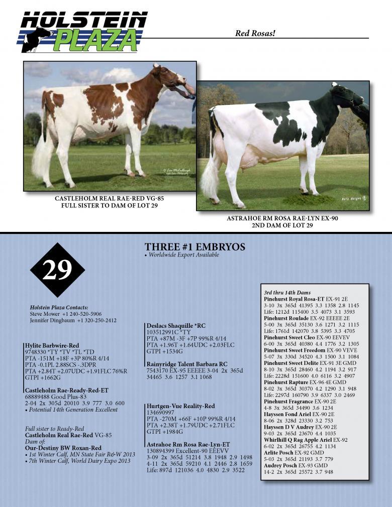 Datasheet for BARBWIRE RED x Castleholm Rae-Ready-Red