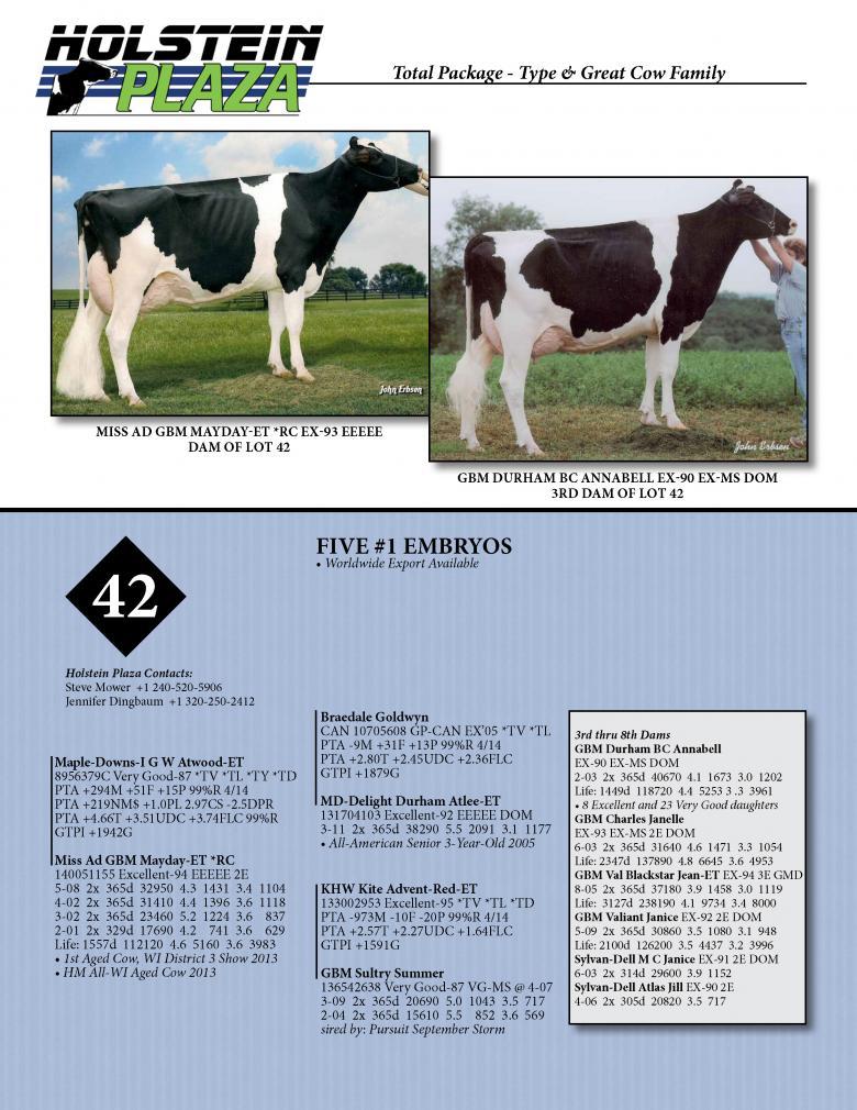Datasheet for ATWOOD x Miss Ad GBM Mayday *RC