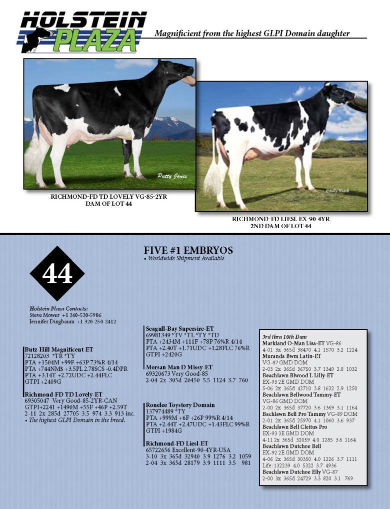Datasheet for MAGNIFICENT x Richmond-FD TD Lovely