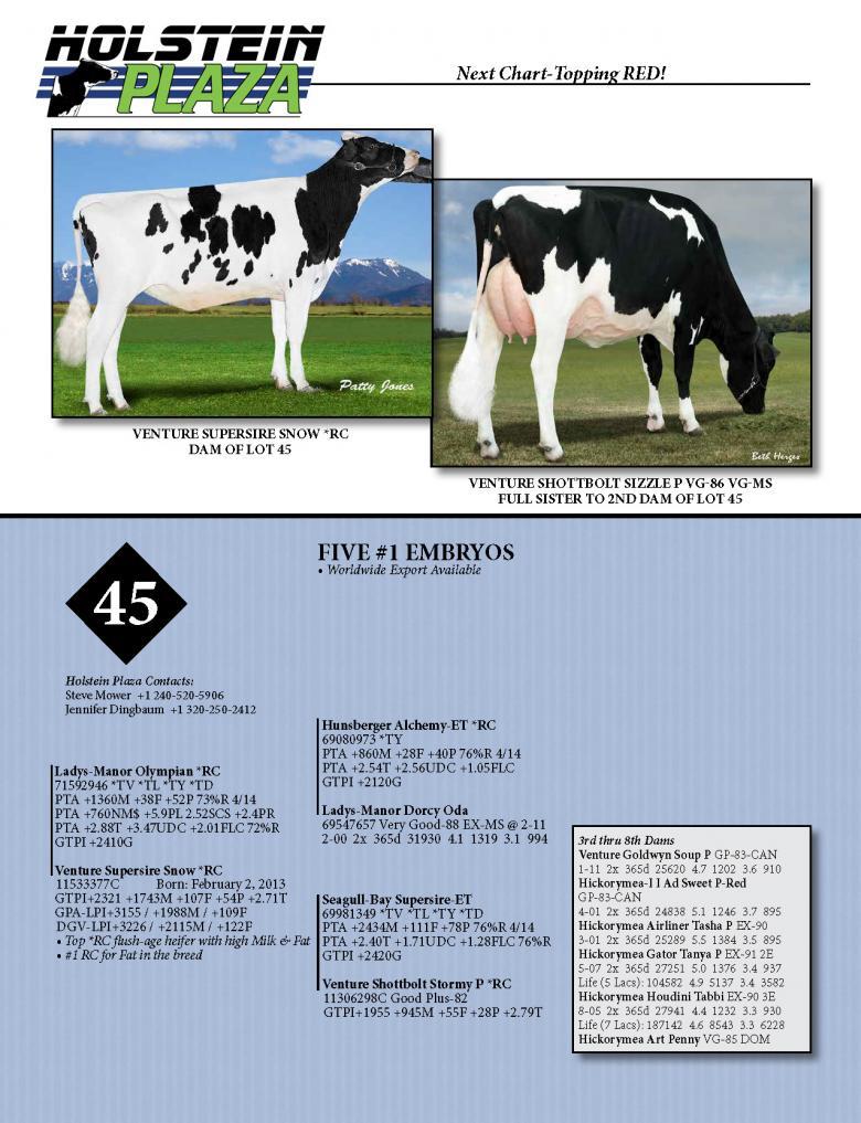 Datasheet for OLYMPIAN *RC x Venture Supersire Snow *RC