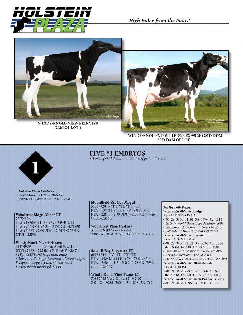 Datasheet for YODER x Windy-Knoll-View Princess