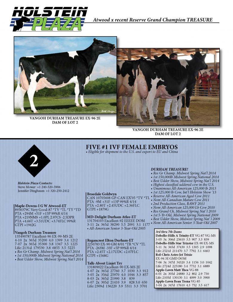 Datasheet for IVF FEMALE ATWOOD x Vangoh Durham Treasure